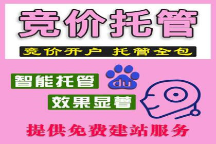 百度推广平台案例精选：揭秘热门广告策略